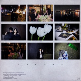 Lacuna. - So why? (feat. Rui Bin) PICY