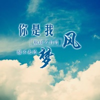 你是我触碰不到的风醒不来的梦 - Single - MC画师 & 热搜
