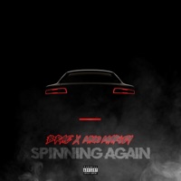 Spinning Again (feat. Migo Marley) - Single - B Rae