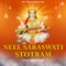Neel Saraswati Stotram - Kartik Ojha lyrics