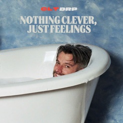 NOTHING CLEVER JUST FEELINGS cover art
