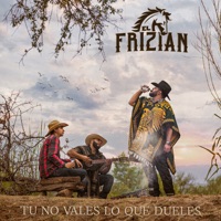 Tu No Vales Lo Que Dueles - Single - El Frizian