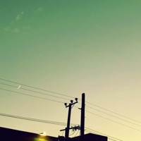 Wander - Single - CALM TRANSMISSIONS