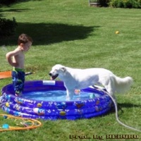 Harmful Harmony - Single - GH0STLY!