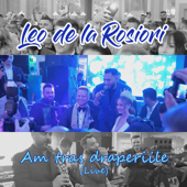 Am tras draperiile (Live)