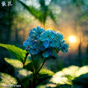装花
