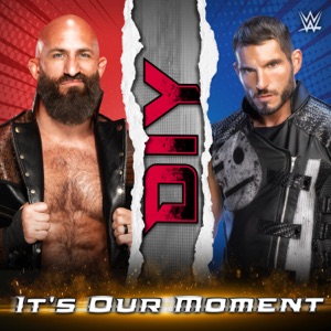 WWE: It's Our Moment (DIY)