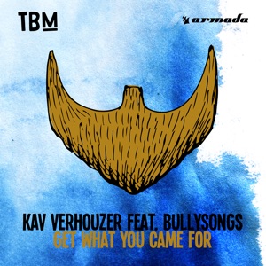 Get What You Came For (feat. BullySongs)