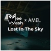 Lost In the Sky (feat. AM3L) - Single