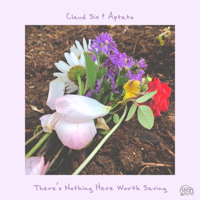 There's Nothing Here Worth Saving - Single
