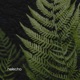 Helecho Single