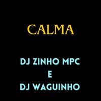 Calma (feat. mc pl alves) - Single - Dj Zinho Mpc & DjWaguinho