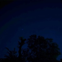 Ambient, Vol. 1 - EP - my head is empty