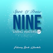 Living Waters (feat. Sindi Ntombela) [Live] - EP artwork