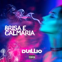 Brisa E Calmaria (feat. Casa De Musique) - Single - Duillio