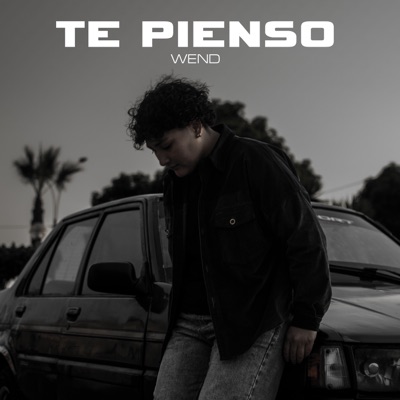 Te Pienso - Single
