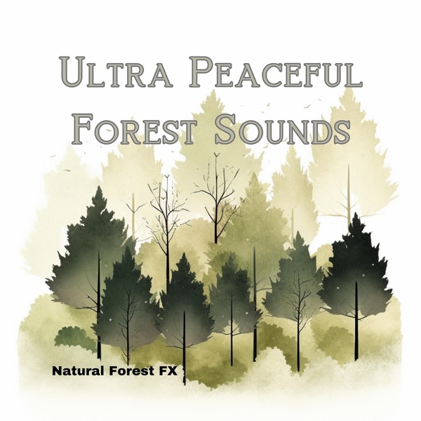 Ultra Peaceful Forest Sounds