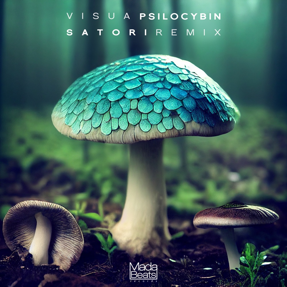 Обложка альбома «Psilocybin (Satori Remix) - Single» — Visua