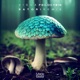Psilocybin Satori Remix Single