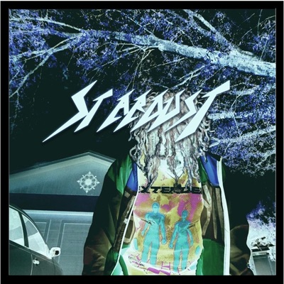 Stardust - Single