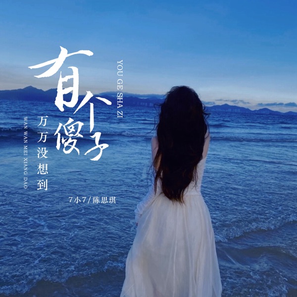 有个傻子万万没想到 - Single