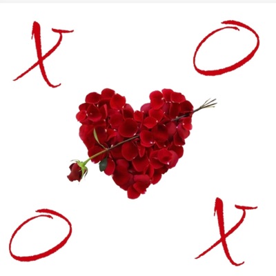 XOXO (feat. Steevo & RARA) - Single