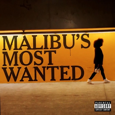 Malibu's Most Wanted - Single