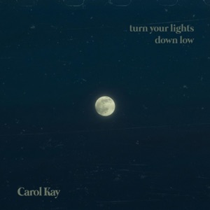 Turn Your Lights Down Low - Single