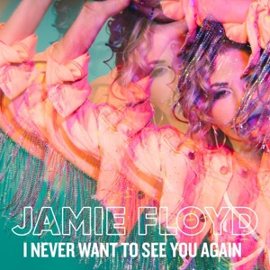 I Never Want To See You Again (Radio Edit) - Single