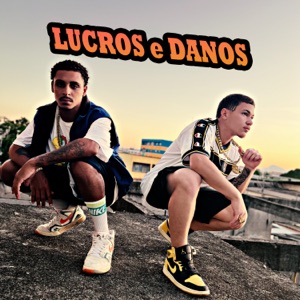 Lucros e Danos