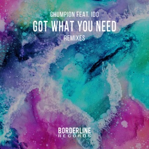 Got What You Need (Remixes) [feat. Ido] - Single
