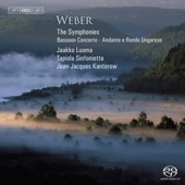 Weber, C.M. Von: Symphonies Nos. 1 and 2 / Bassoon Concerto / Andante E Rondo Ungarese artwork