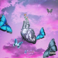 Amor - Single - Flavor Dudes, Lil Kendo & Adan Cruz