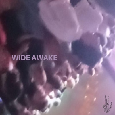Wide Awake (feat. G0bl3n & Emmie Li) - Single