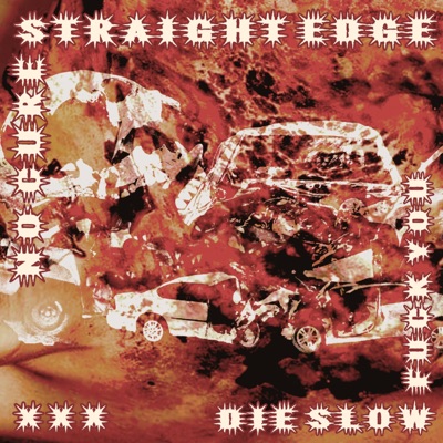 No Cure Straight Edge Die Slow Fuck You - Single