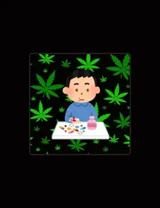 SHIONを聴いたり、ミュージックビデオを鑑賞したり、経歴やツアー日程などを確認したりしましょう！