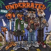 Underrated (feat. MoneySign Suede) [Remix] artwork