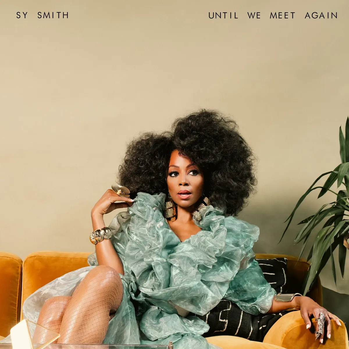 Sy Smith - Until We Meet Again (2024) [iTunes Plus AAC M4A]-新房子