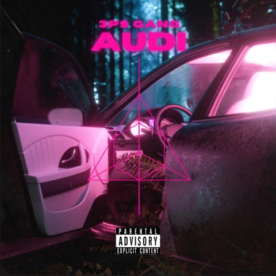 AUDI (feat. Runitback Rib, Skyywavy & Meezy Dreamz) [Explicit Version] - Single