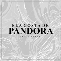 Ela Gosta de Pandora - Single - Erick Mello & Gree Cassua