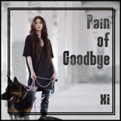 Pain of Goodbye artwork