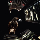 Night Hawk (feat. Evil Pimp) artwork