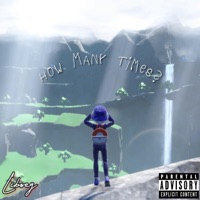 How Many Times? - Single - Libsey