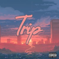 Trip (feat. NiccoFeem, Marcus Alland & D. Marie) - Single - Terrence Esquire Huggins