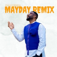 Album cover for Fally Ipupa (Part 2) [mayday remix] by chombelva