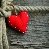 DeKa Caly Moj Swiat - Single - DeKa