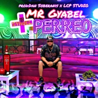+ PERREO - Single - Mr Gyabel