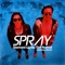 Get Normal (The Gothsicles Remix) - Spray lyrics