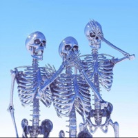 V12 - Single - 6eva.kartier & 432wavo