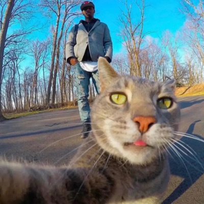 pay (feat. Lil Vision) - Single